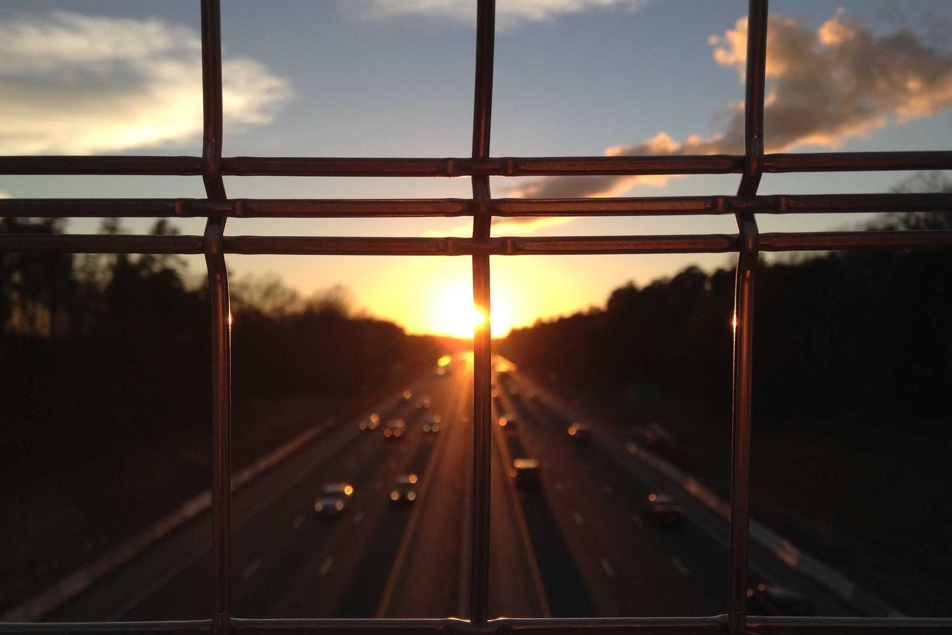 Wind turbines in a lush green field