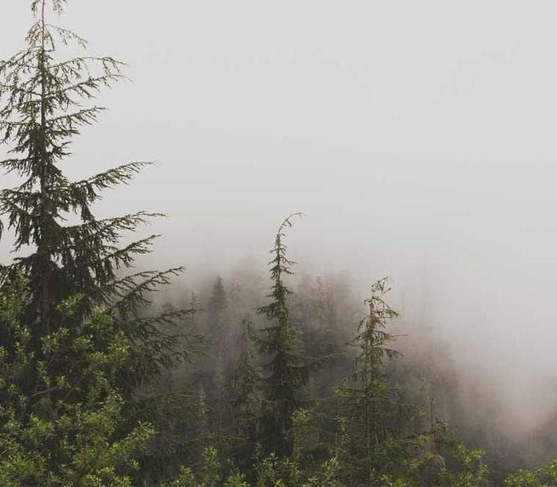 Hands holding recycled fabric